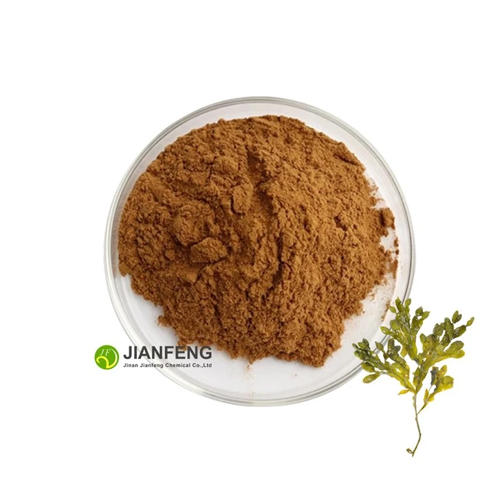 Fucoxanthine 10%